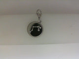 Silver Charm