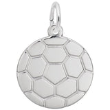 Silver Charm