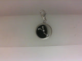 Silver Charm