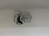 Silver Charm