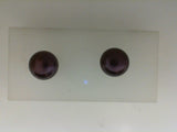 Pearl Earring