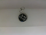 Silver Charm