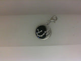 Silver Charm