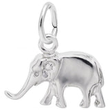 Silver Charm