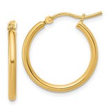 Gold Earring