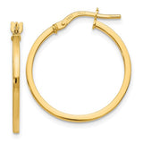 Gold Earring