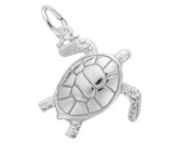 Silver Charm