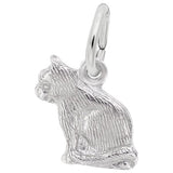 Silver Charm