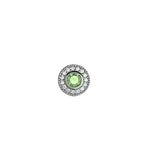 Silver Charm