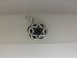 Silver Charm