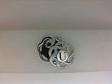 Silver Charm