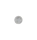 Silver Charm