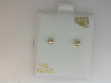 Gold Earring