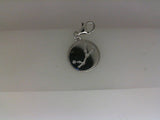 Silver Charm