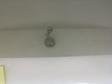 Silver Charm