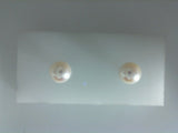 Pearl Earring