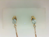 Colored Stone Earring