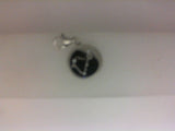 Silver Charm