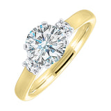 Diamond Engagement Ring