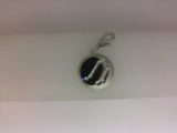 Silver Charm
