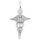 Silver Charm