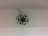 Silver Charm