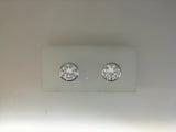 Silver Earring
