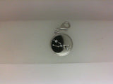 Silver Charm