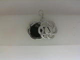 Silver Charm