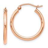 Gold Earring
